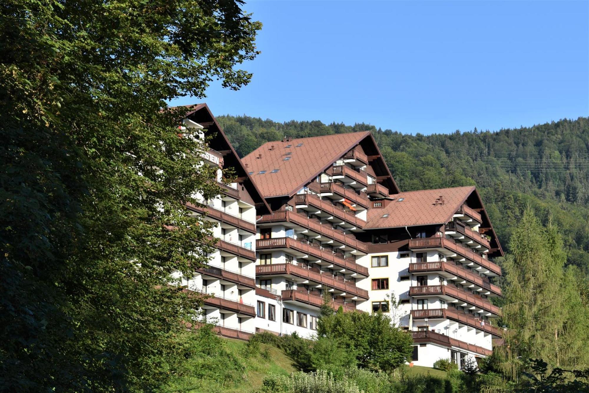 Apartment D'Auszeit Bad Goisern Extérieur photo